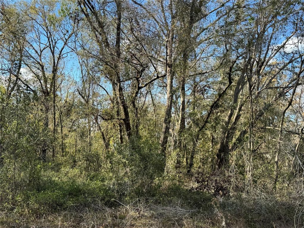 listing image 42