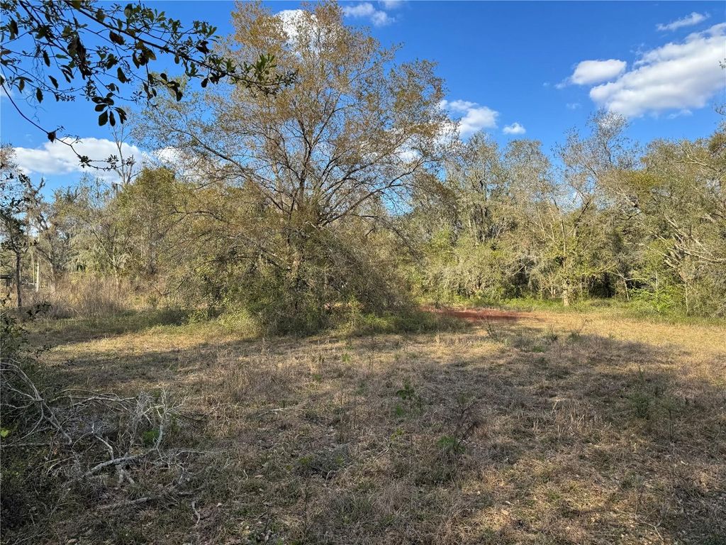 listing image 24