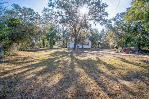 3705 JERRY SMITH ROAD DOVER FL 33527