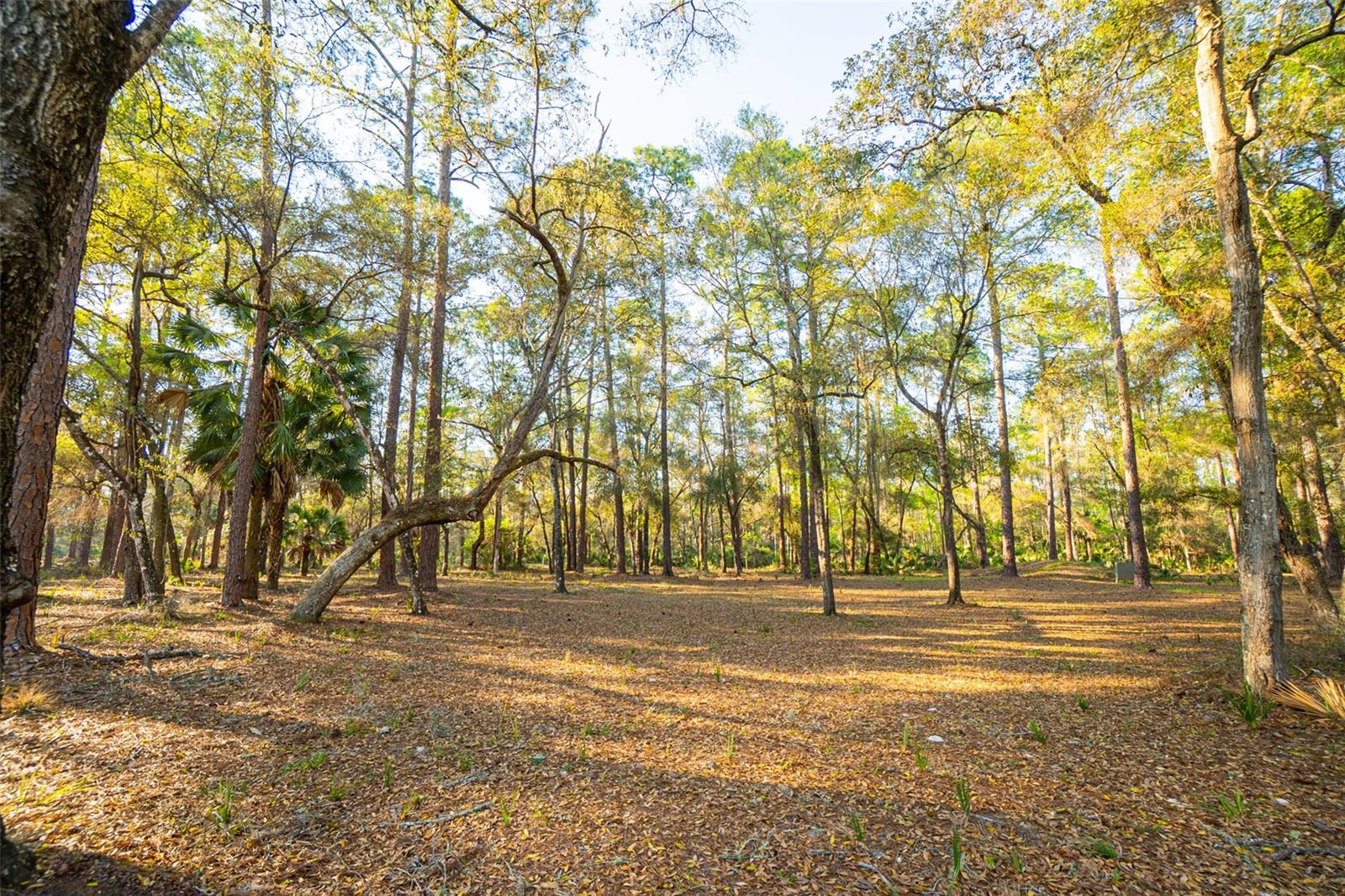SILVER SPRINGS - Residential