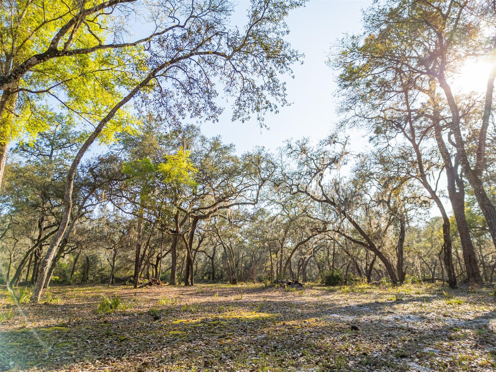 SILVER SPRINGS - Residential