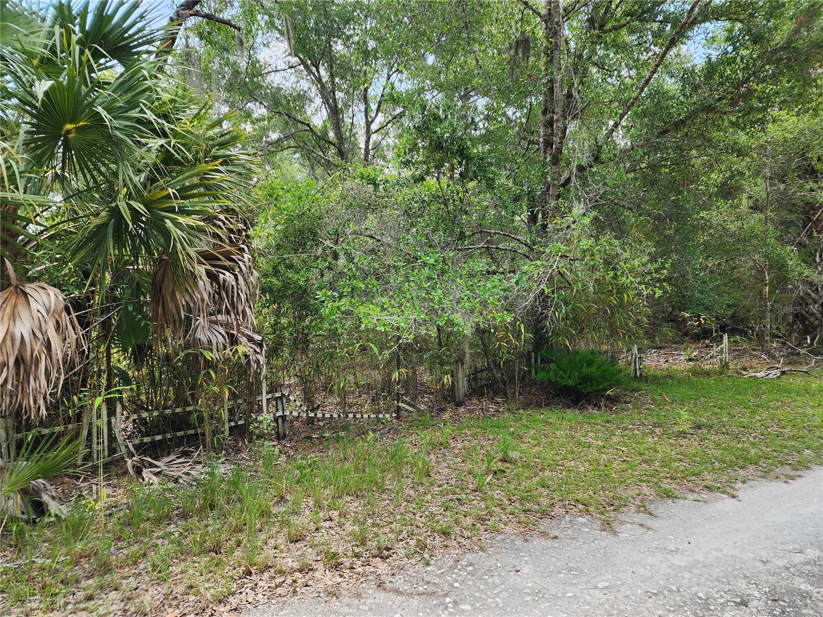 11335 N GINNY LANE POINT