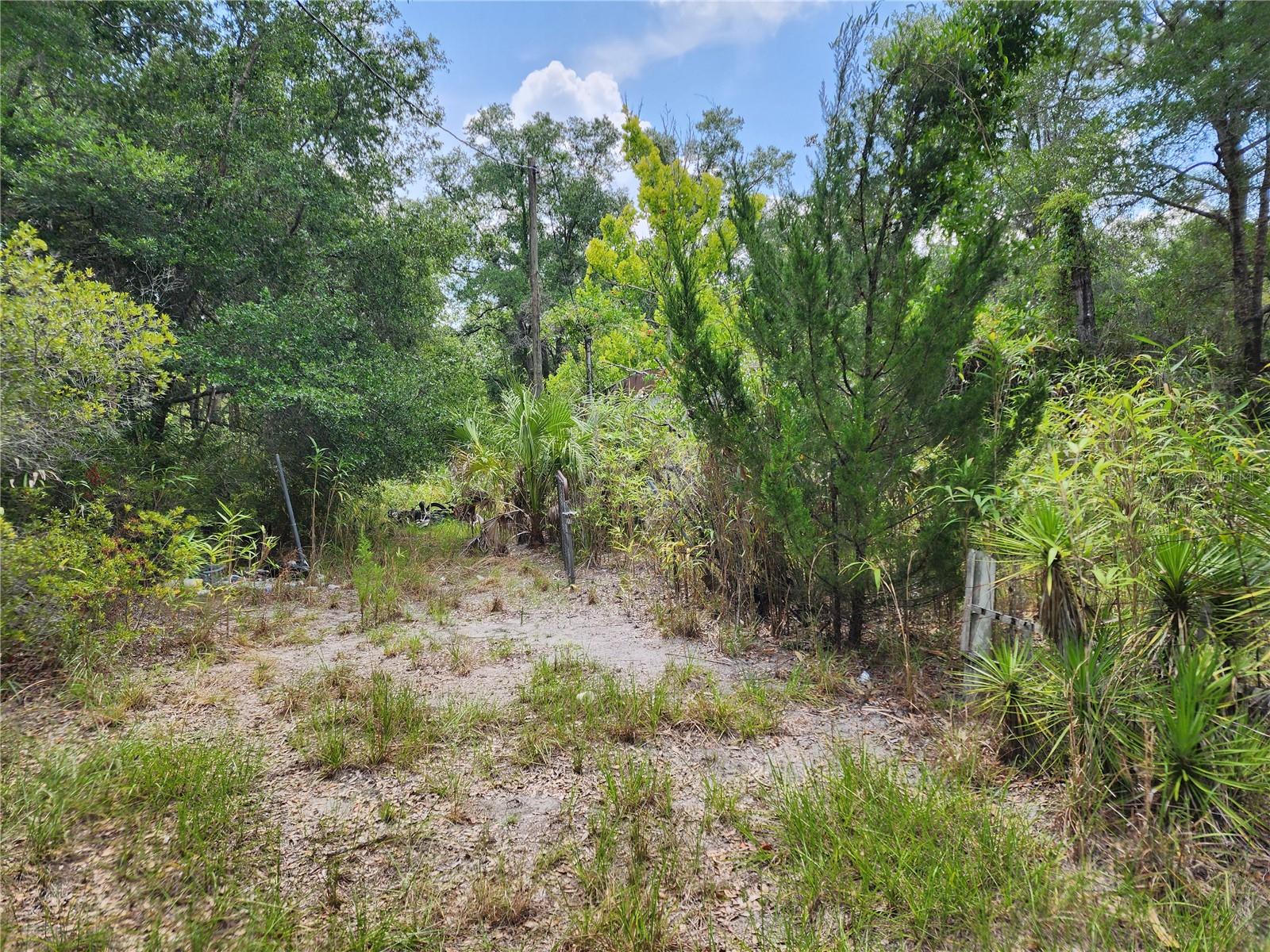 11335 N GINNY LANE POINT
