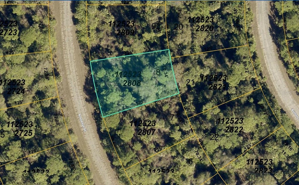 Photo of 1125232808 Breadnut Street, North Port, FL 34288 (MLS # A4708136)