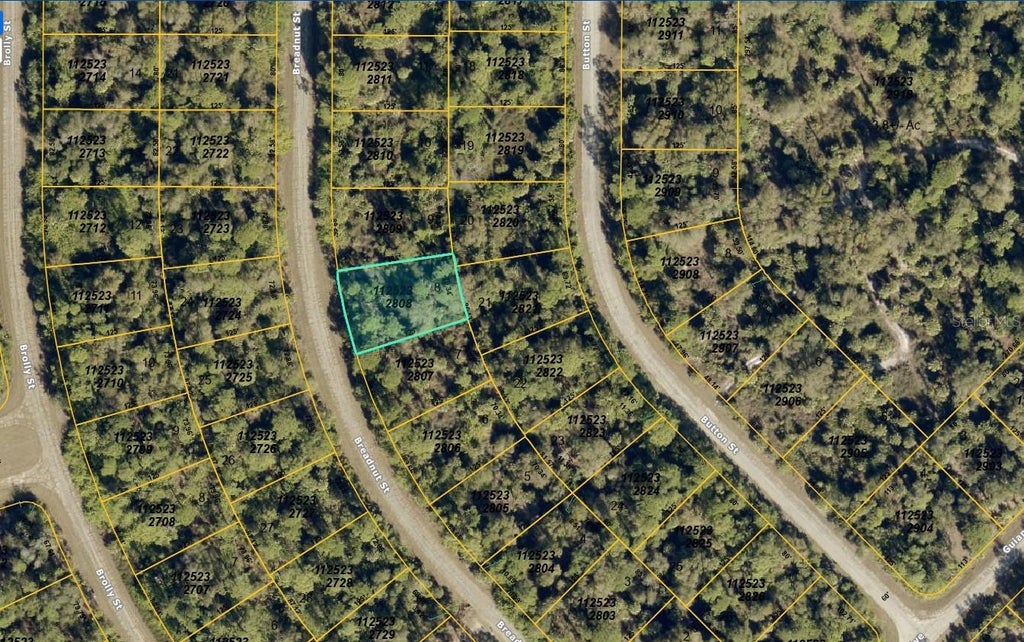 Photo of 1125232808 Breadnut Street, North Port, FL 34288 (MLS # A4708136)