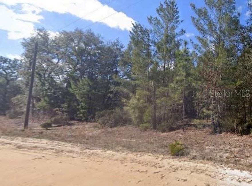 Discover a rare opportunity to own a 0.29-acre parcel in the sought-after Interlachen Villas Addition 3. Buyers have the unique opportunity to determine the property's main entrance and may choose to name the street as Lake Lucy Cir or Poinciana Dr, adding a personalized touch to the address.  This level, wooded lot offers a tranquil setting with road frontage on a serene, unpaved rural street. Not located in a flood zone (Zone X), the property is zoned R-1A, making it ideal for a Single-Family Residence and Mobile Manufactured Homes. Essential utilities, including electricity, water, and sewer (nearby), along with high-speed internet, are available in the area. With no HOA or master association, the lot provides the freedom to design a custom home tailored to personal preferences. Conveniently located near schools, shopping, and local amenities, this property represents a rare opportunity to own land in Interlachen, FL.