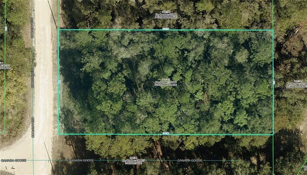Photo of 1 Cedarwood Avenue, Weeki Wachee, FL 34614 (MLS # A4708913)