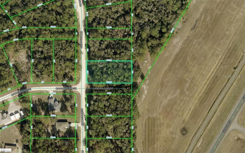 R01-221-17-3357-5520-0170 CEDARWOOD AVENUE