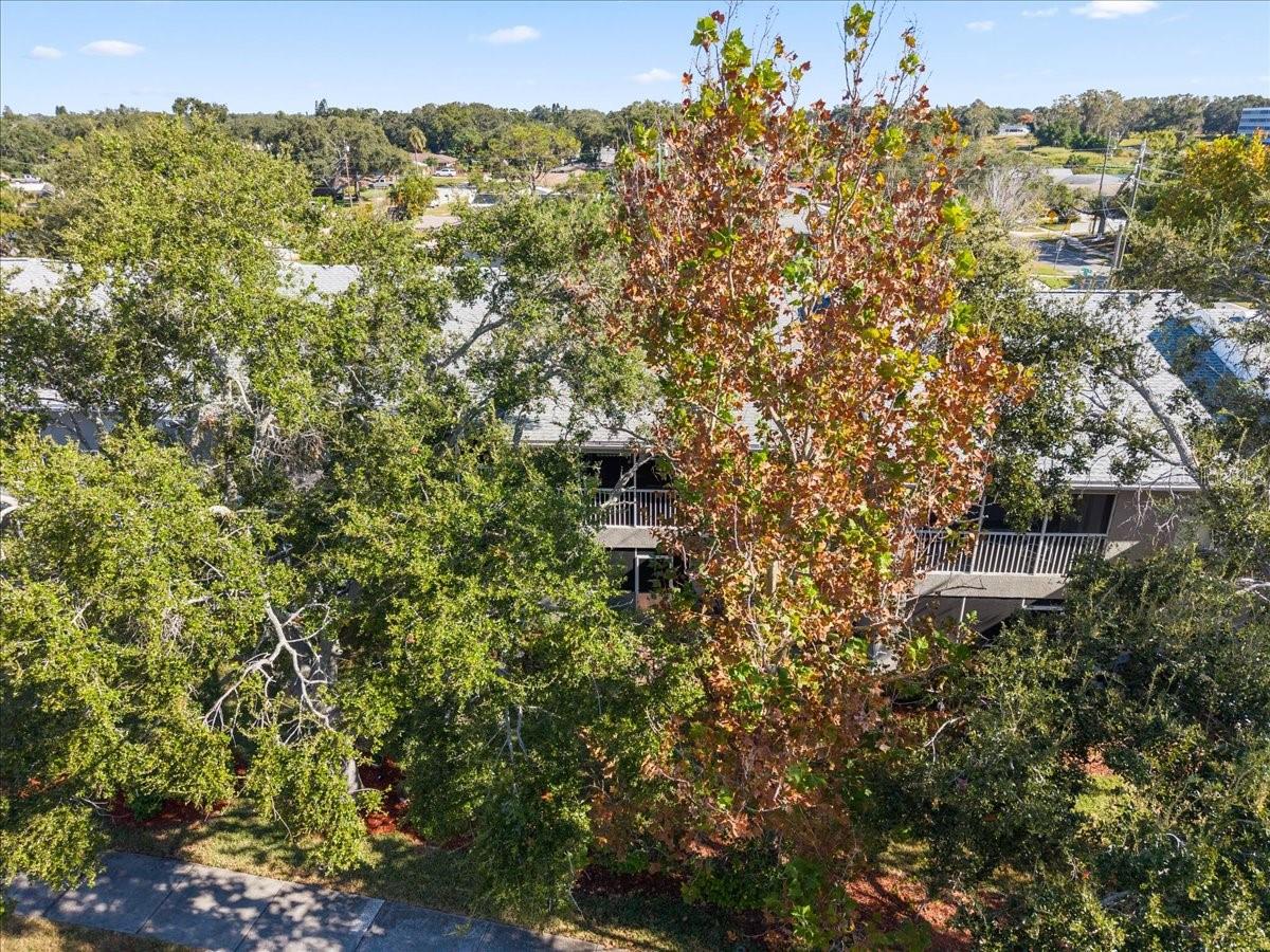 BAY POINTE VILLAS CONDO - Residential