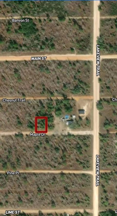 LOT 46 & 46 MAPLE DRIVE INTERLACHEN FL 32148