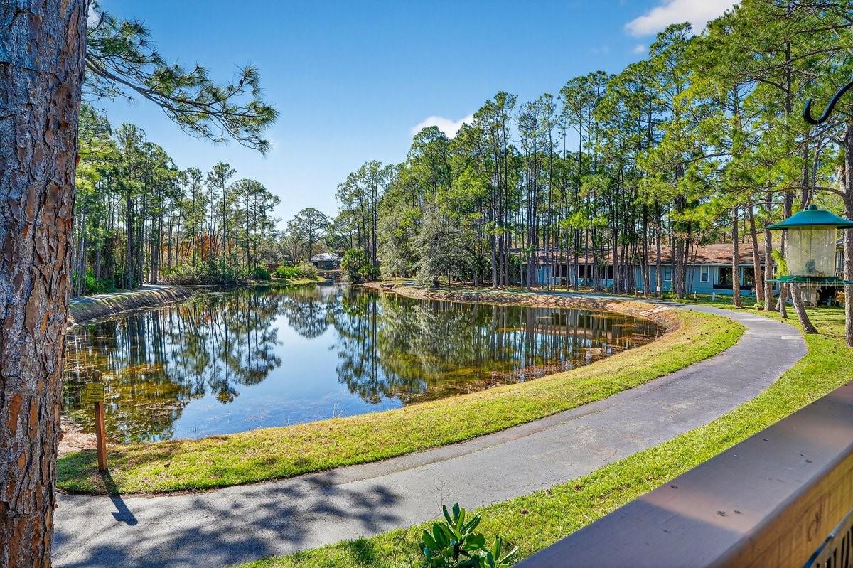 SUMMER TREES UNIT 03B - Residential