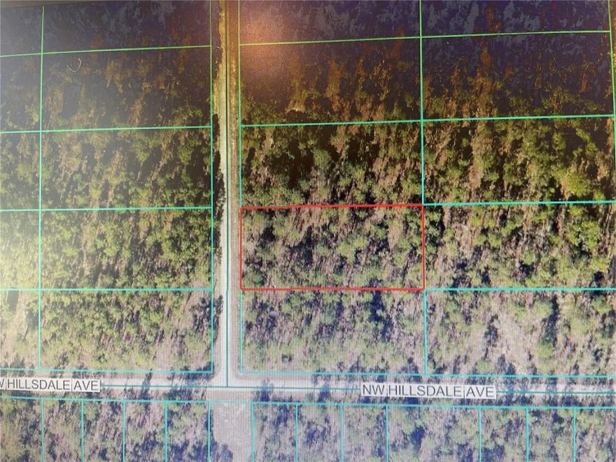 Great 1 acre lot in the beautiful Rainbow Lakes Estates subdivision. This is the perfect opportunity to build your dream home or a spec home with plenty of room for a pool. Rainbow Lakes Estates has many amenities such as playground, park, community center, lakes, tennis court and basketball court. Easy Access to downtown Dunnellon, restaurants, shopping, Ocala and Gainesville.