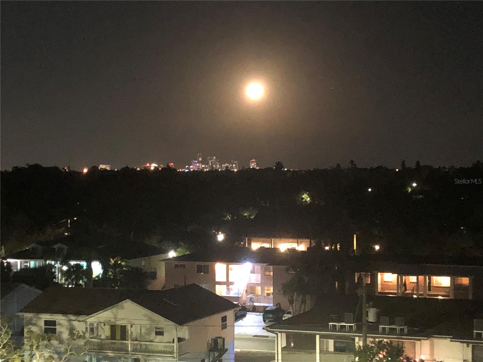 TOWN SHORES OF GULFPORT - Residential