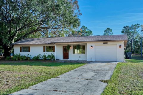 A home in INDIAN LAKE ESTATES