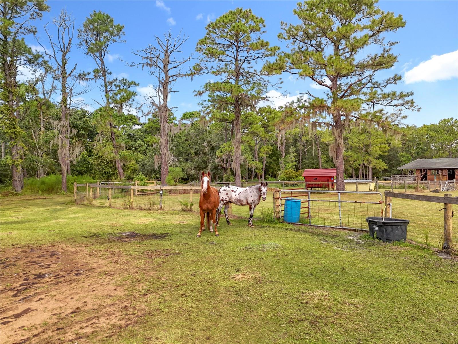 ACREAGE & UNREC - Residential