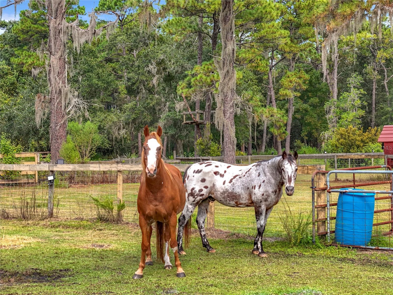 ACREAGE & UNREC - Residential