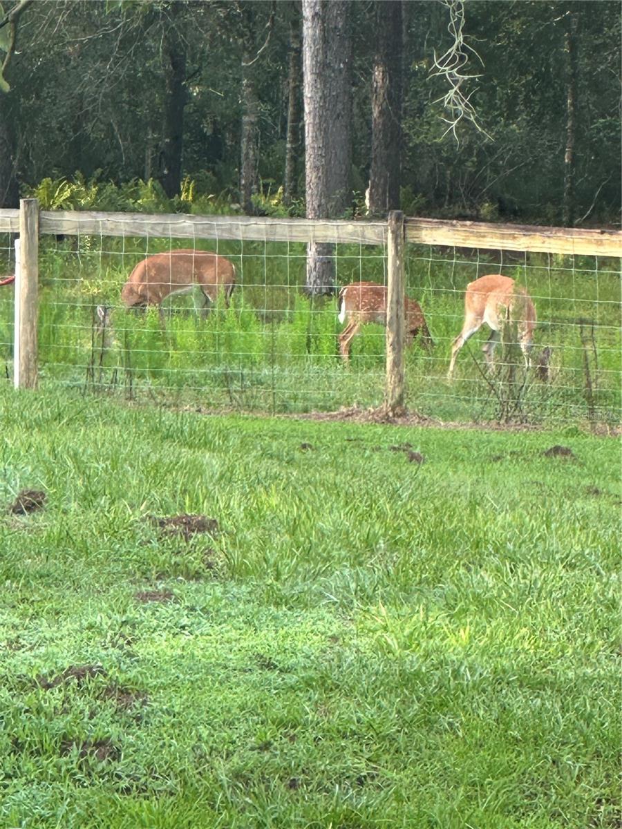 ACREAGE & UNREC - Residential