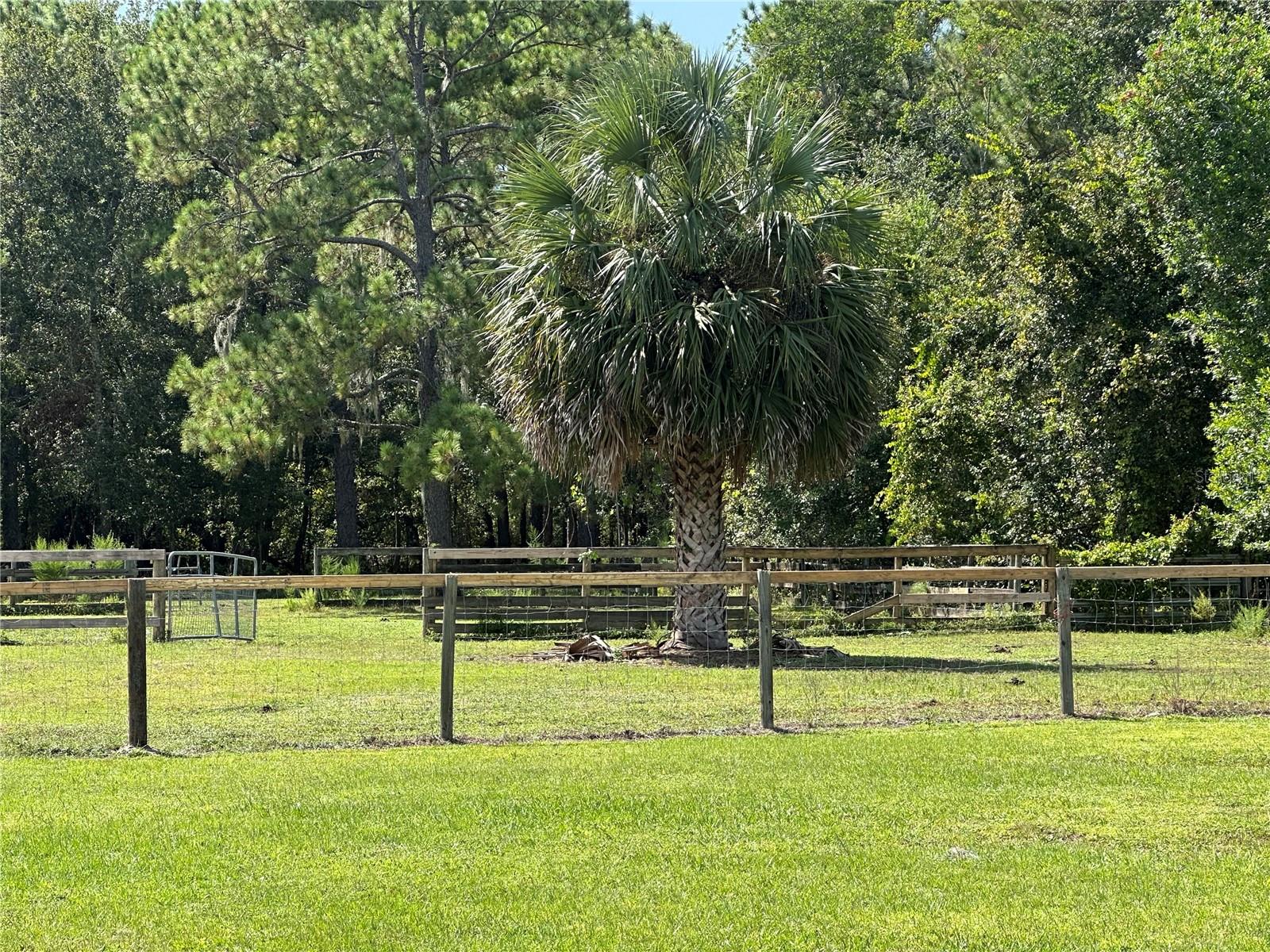 ACREAGE & UNREC - Residential