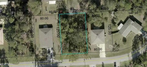 53 PIEDMONT DRIVE PALM COAST FL 32164