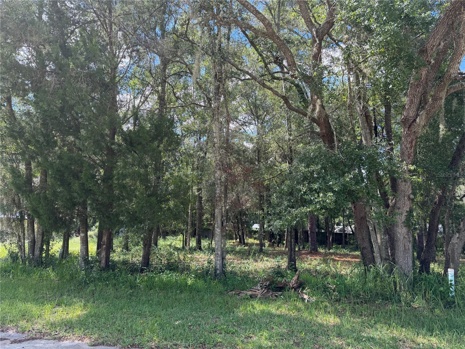 7457 W TURKEYNECK COURT