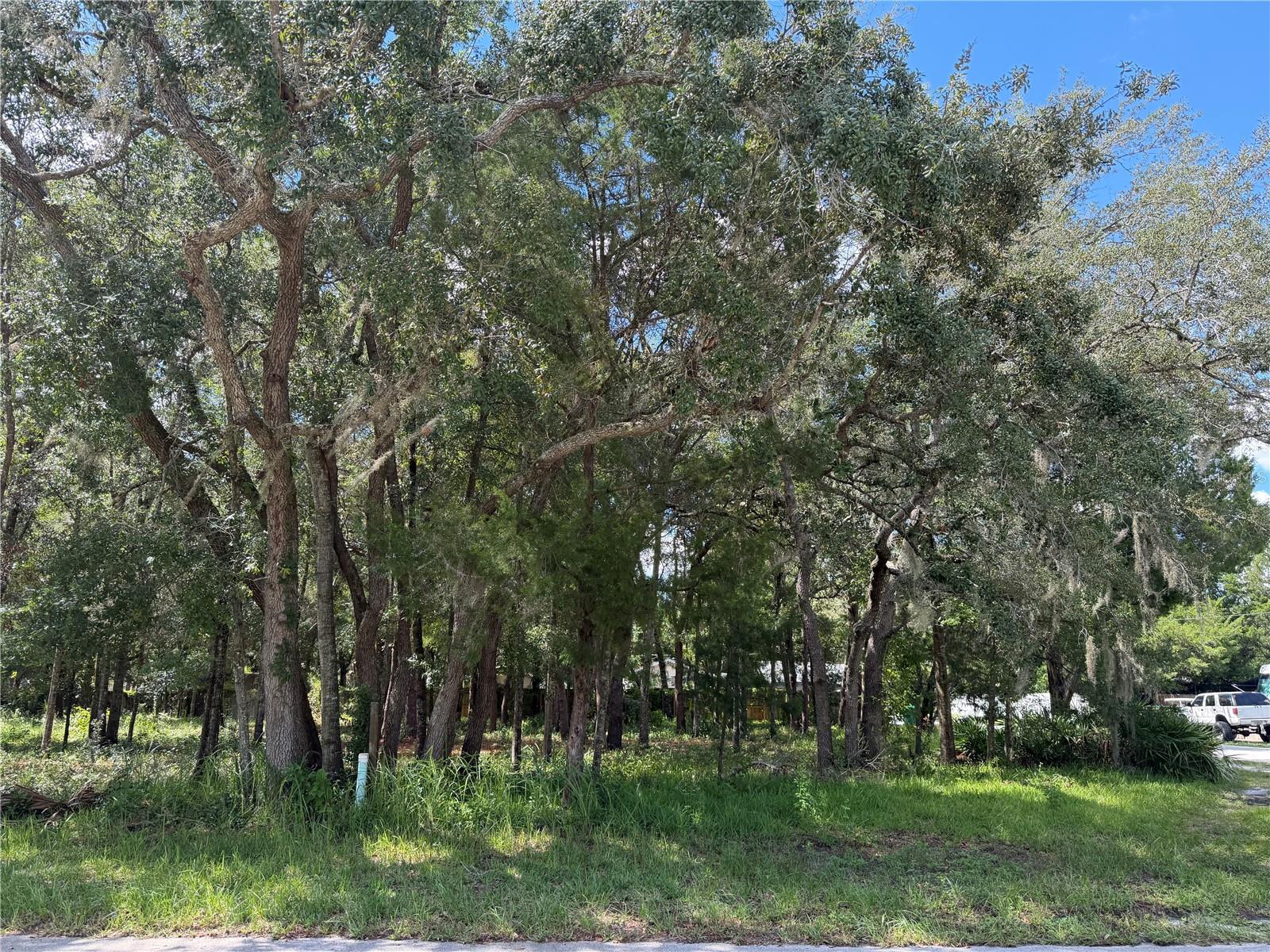 7457 W TURKEYNECK COURT