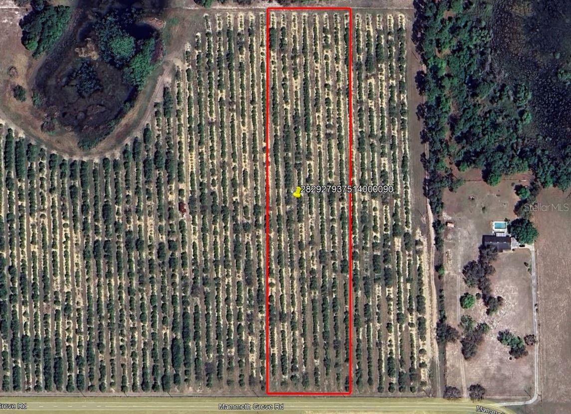 Secluded 5.7-acre homesite near Lake Wales, FL, featuring wooded areas
and ponds. Offers privacy while still being close to restaurants, shopping,
and schools. Wildlife on the property includes deer, turkey, and hogs.