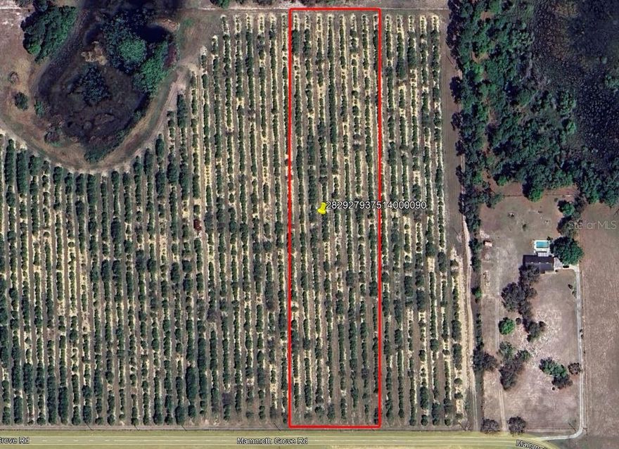 Secluded 5.7-acre homesite near Lake Wales, FL, featuring wooded areas
and ponds. Offers privacy while still being close to restaurants, shopping,
and schools. Wildlife on the property includes deer, turkey, and hogs.