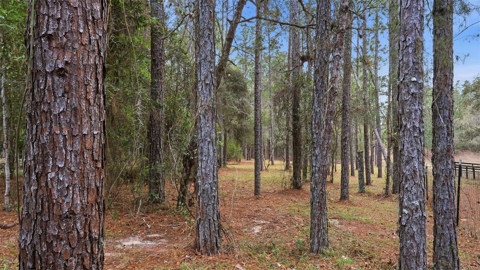 OAK FOREST UNIT 02 - Residential