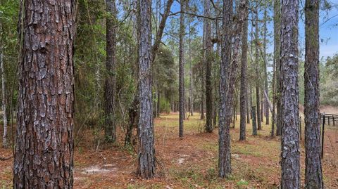 Tiny photo for 12092 S Hyacinth Point, Floral City, FL 34436 (MLS # W7883595)