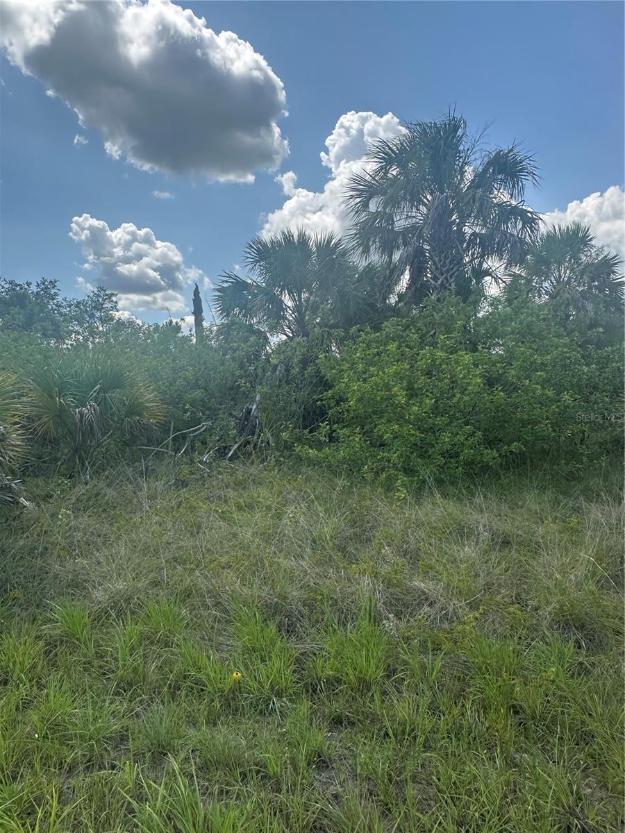 PORT CHARLOTTE SUB 46 - Land