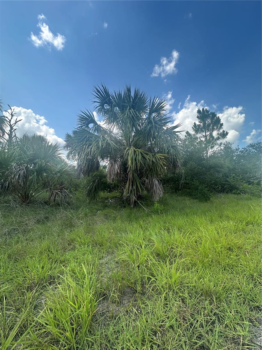 Exceptional Opportunity in North Port Build Your Dream in a Booming Florida Hotspot! This lot and the adjacent lot next to it (Lot 21) is also for sale separately-double the opportunity. Seize the chance to own a prime residential lot in the rapidly growing and highly sought-after city of North Port, Florida-one of Southwest Florida's most exciting and dynamic communities. This peacefully located parcel offers no HOA fees, no deed restrictions, and no CDDs, giving you the freedom to design and build exactly what you envision. Plus, as of May 2025, this lot is not listed on the North Port Scrub Jay map (buyer to verify during due diligence). Just minutes from I-75, this ideal location ensures easy commuting while keeping you close to everything-shopping, dining, top-rated schools, parks, golf courses, and world-class fishing. With new construction all around, it's clear that North Port is on the rise, making this the perfect time to invest in your future. Love the beaches? You're in luck-stunning Gulf Coast beaches are just a quick 25-minute drive away, where you can unwind with the sand between your toes and breathtaking sunsets at your fingertips. Sports fans will appreciate being near MLB Spring Training stadiums to catch the games. Whether you're planning to build your forever home or looking for a savvy investment, this property offers unlimited potential in a thriving area. Need help getting started? Local builder referrals are available upon request. Don't miss out on this incredible opportunity in one of Southwest Florida's most exciting and up-and-coming cities!