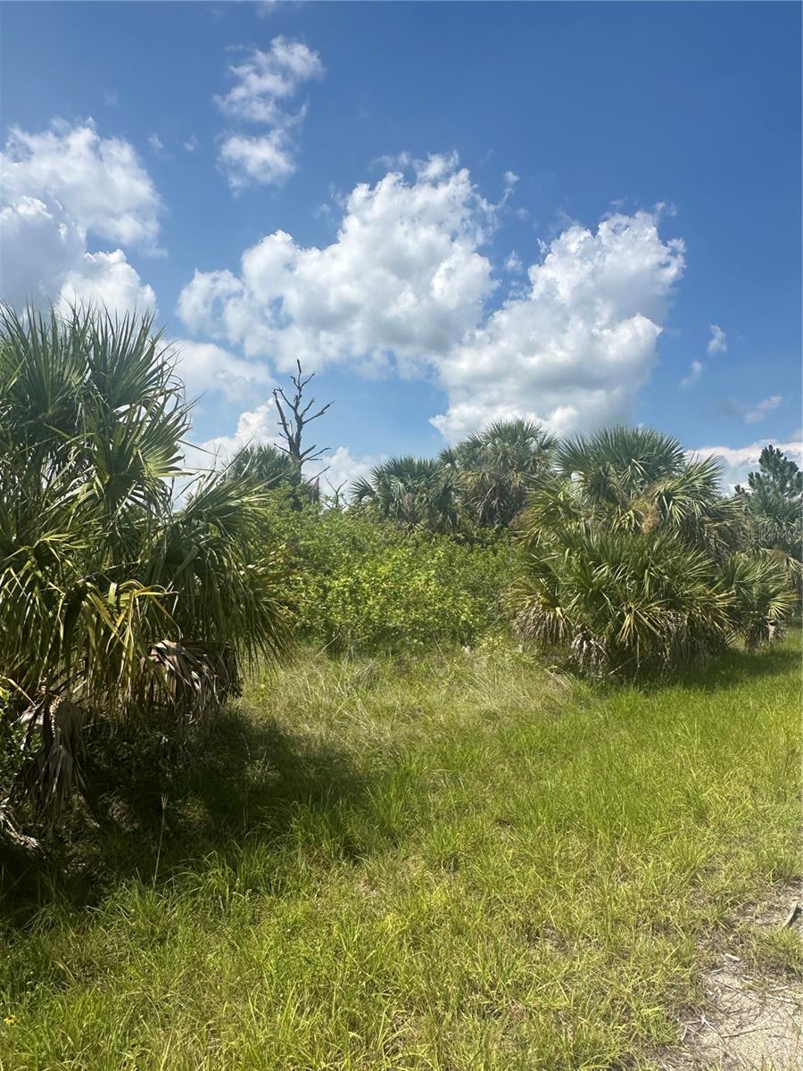 PORT CHARLOTTE SUB 46 - Land