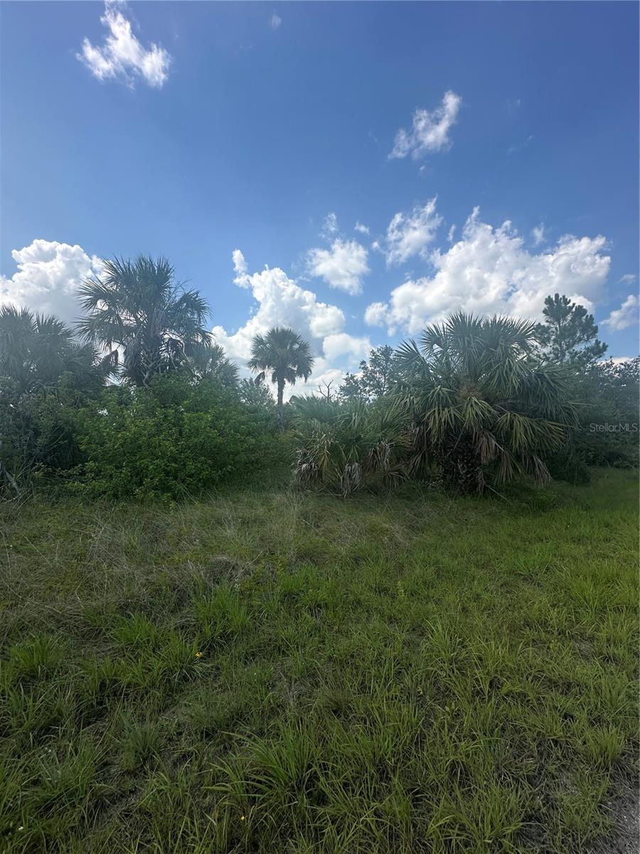 PORT CHARLOTTE SUB 46 - Land