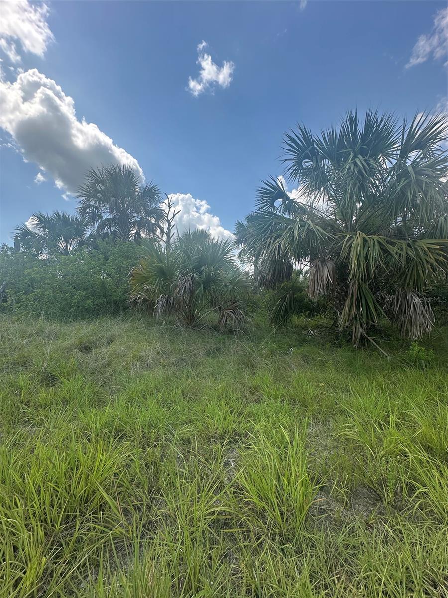 PORT CHARLOTTE SUB 46 - Land