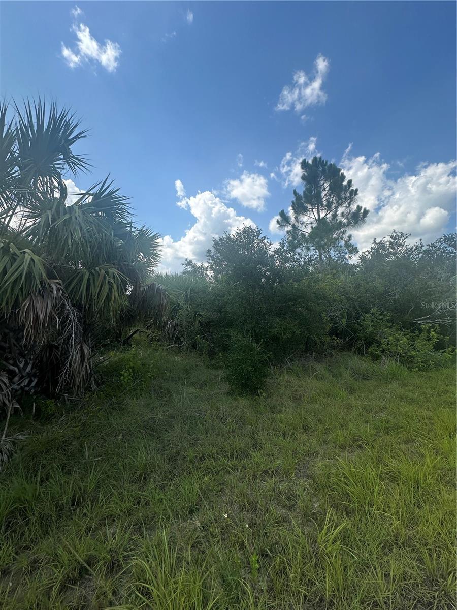 PORT CHARLOTTE SUB 46 - Land