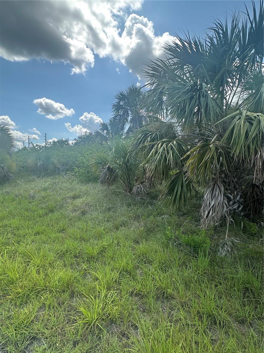 PORT CHARLOTTE SUB 46 - Land