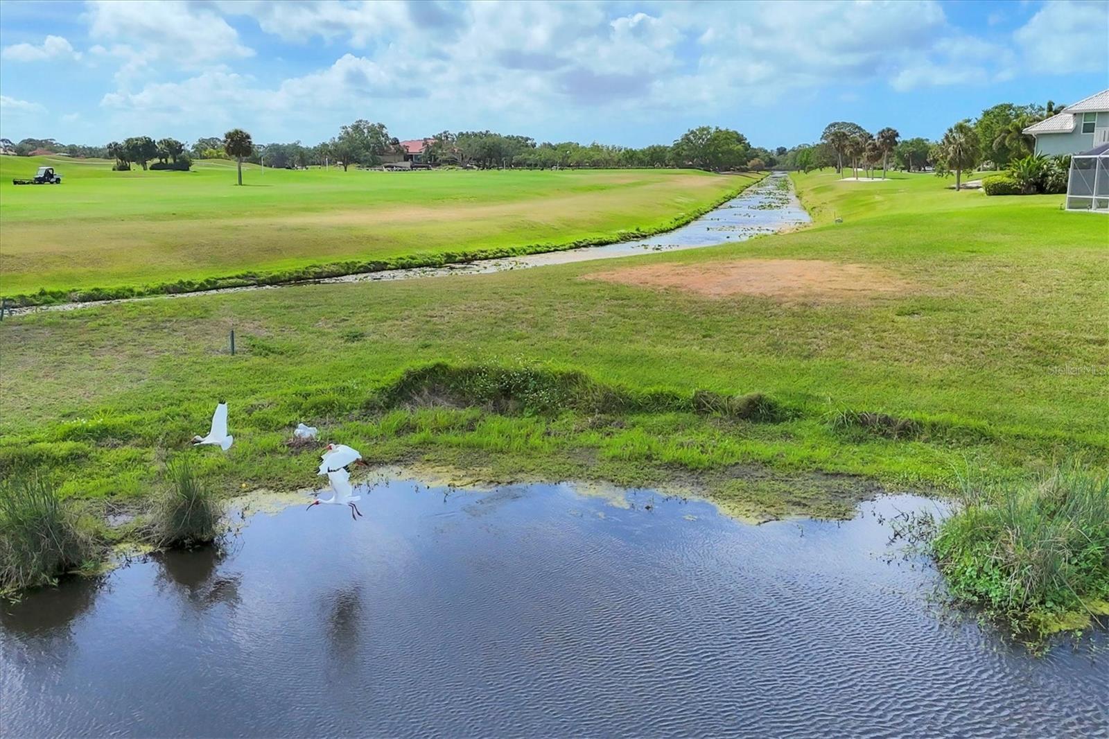 PRESTANCIA - Residential