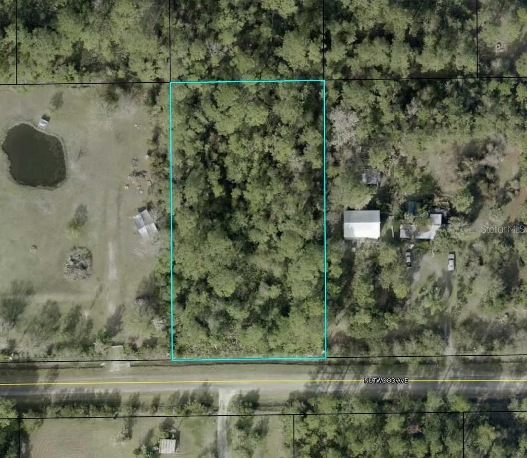 Photo of 6044 Nutwood Avenue, Bunnell, FL 32110 (MLS # TB8455295)