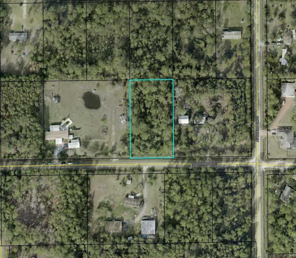 Photo of 6044 Nutwood Avenue, Bunnell, FL 32110 (MLS # TB8455295)