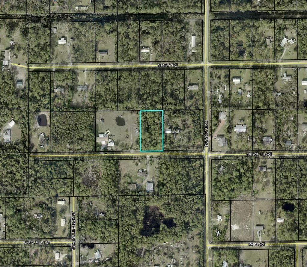 Photo of 6044 Nutwood Avenue, Bunnell, FL 32110 (MLS # TB8455295)