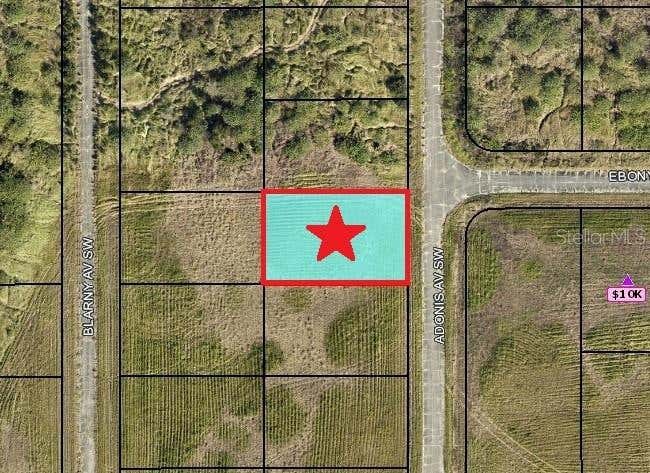 Photo of 2524 Adonis Avenue SW, Palm Bay, FL 32908 (MLS # C7529177)
