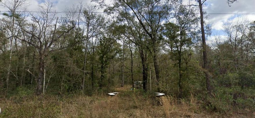 Build your dream home in the rapidly growing and highly sought-after Hastings on over an acre and with several new homes in the area. Hastings offers an abundance of parks and recreation. Only minutes away from attractions shopping and restaurants.