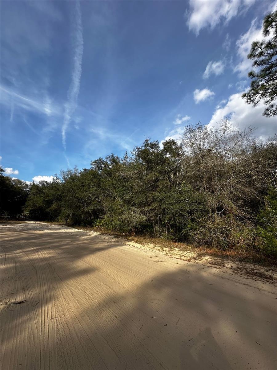 INTERLACHEN LAKES ESTATES - Land