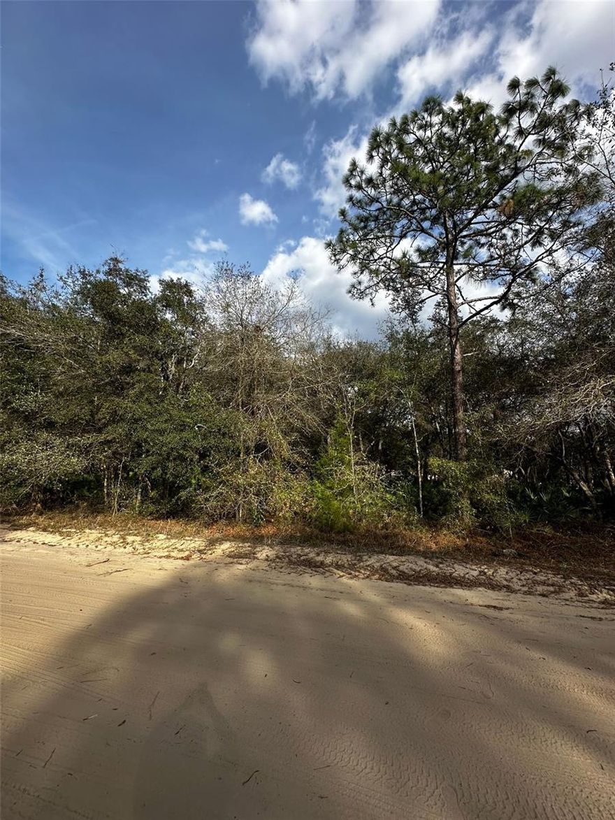 Discover the potential of this 0.25-acre vacant residential parcel located in Interlachen Lakes Estates in Putnam County, Florida. Zoned R-2, this lot offers an excellent opportunity for future residential use, investment, or land ownership in a growing area known for its natural beauty and outdoor recreation. Conveniently located near local lakes, parks, and major roadways, this property provides a peaceful setting while still offering access to nearby shopping, dining, and everyday conveniences.

Buyer to verify zoning, land use, utility availability, access, environmental conditions, and intended use with Putnam County.