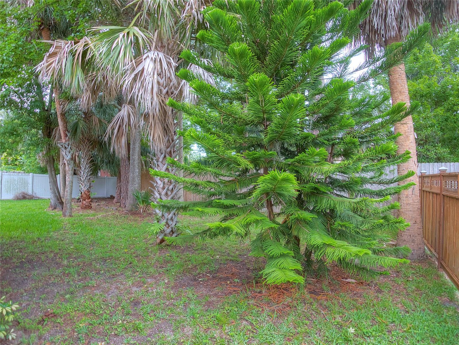 Dunlawton Hills Unit 02 - Residential