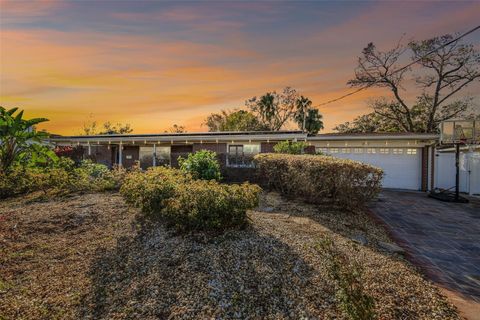 A home in TAMPA