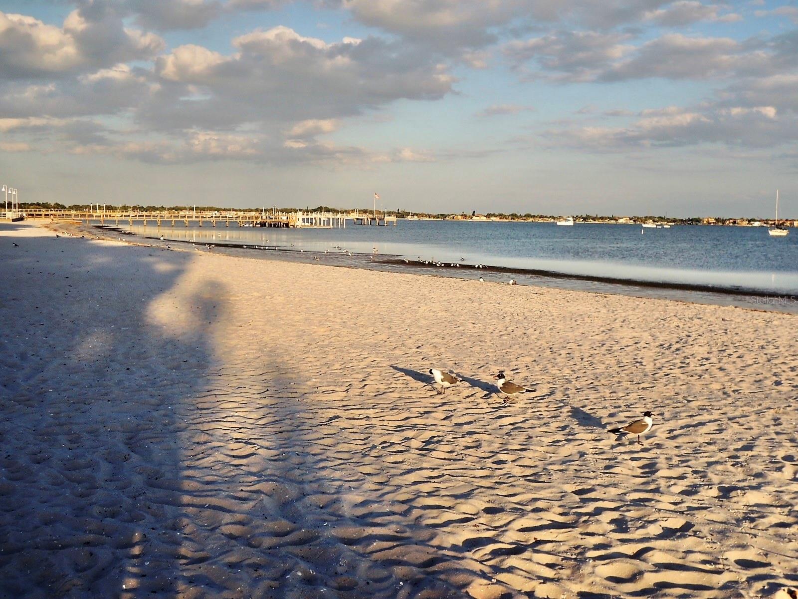 TOWN SHORES OF GULFPORT - Residential