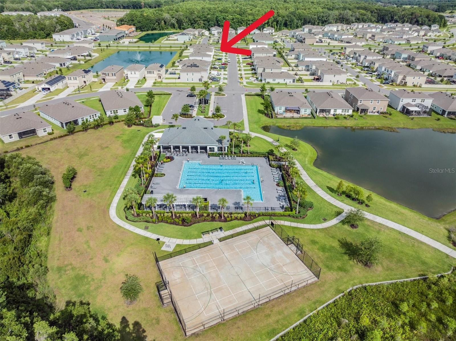 32699 DASHEL PALM LANE