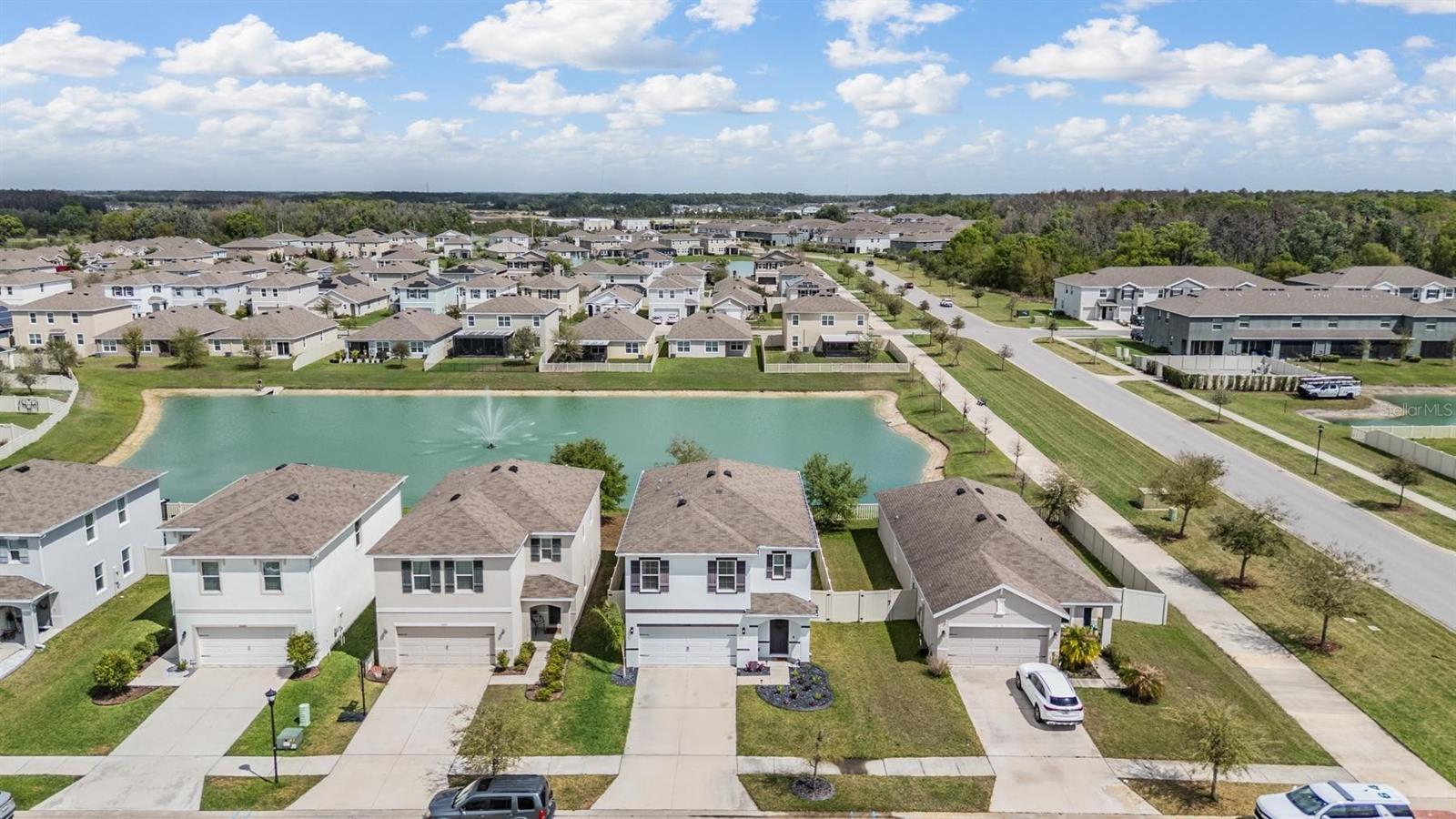 32699 DASHEL PALM LANE