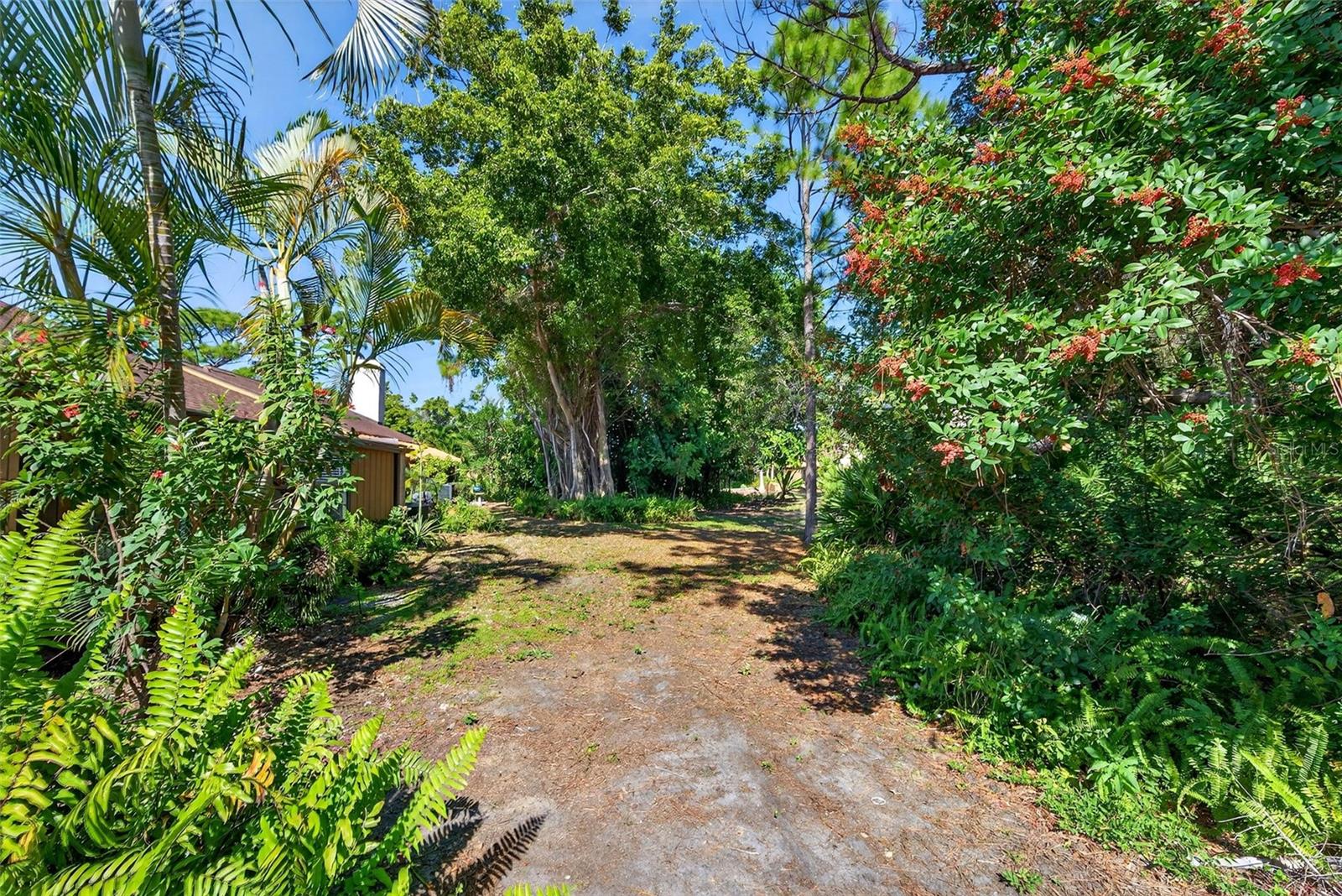 PINE BAY FOREST - Residential